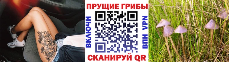 Галлюциногенные грибы Psilocybine cubensis  закладка  Харовск 